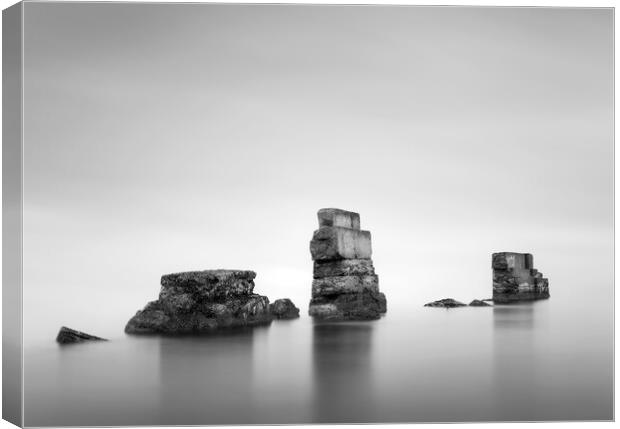 Kirkcaldy Sea Wall Black and White  Canvas Print by Anthony McGeever
