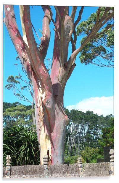 Pink Tree, New Zealand Acrylic by Emma Robertson