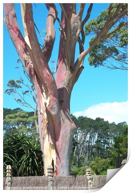 Pink Tree, New Zealand Print by Emma Robertson