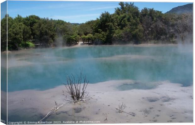 Hot spring and trees, Rotarua, New Zealand Canvas Print by Emma Robertson