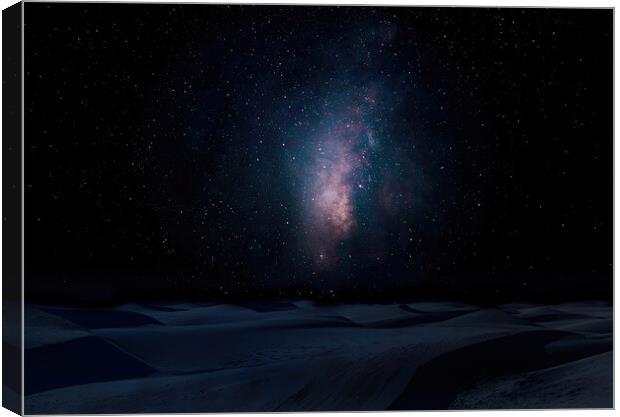 Desert Night Canvas Print by Stephen Taylor