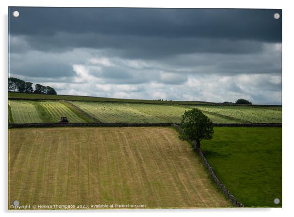 Moody English Countryside Acrylic by Helena Thompson