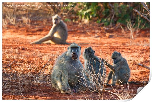 Yellow Baboon family Print by Howard Kennedy