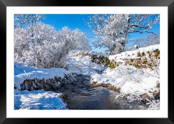 Sunshine after the Snow Framed Mounted Print by Robert Hall