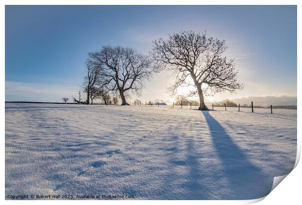 Snow Silhouette Print by Robert Hall