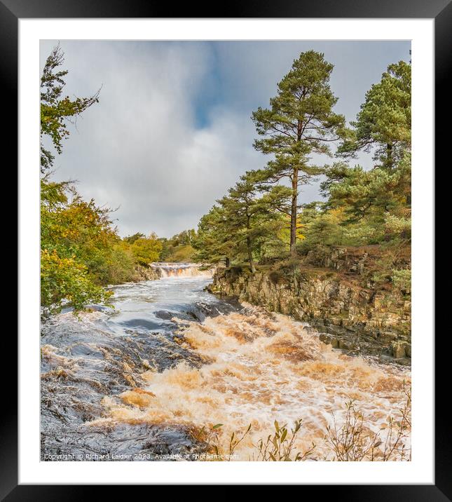 Low Force Waterfall, Teesdale, from Wynch Bridge Framed Mounted Print by Richard Laidler