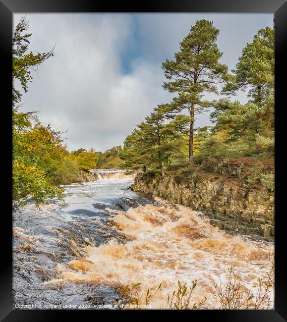 Low Force Waterfall, Teesdale, from Wynch Bridge Framed Print by Richard Laidler