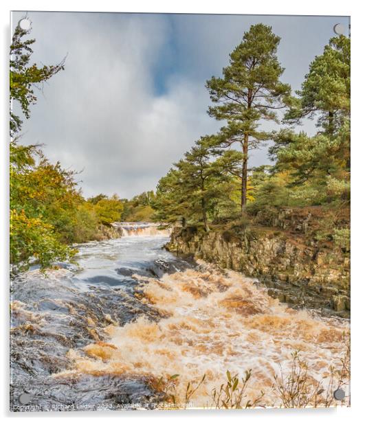 Low Force Waterfall, Teesdale, from Wynch Bridge Acrylic by Richard Laidler
