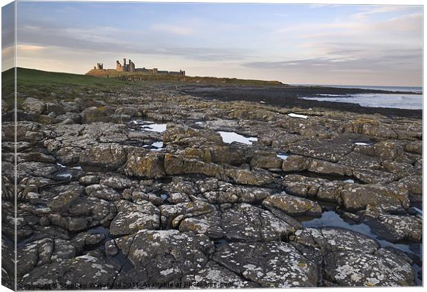 Dunstanburgh castle and coast Canvas Print by Stephen Wakefield