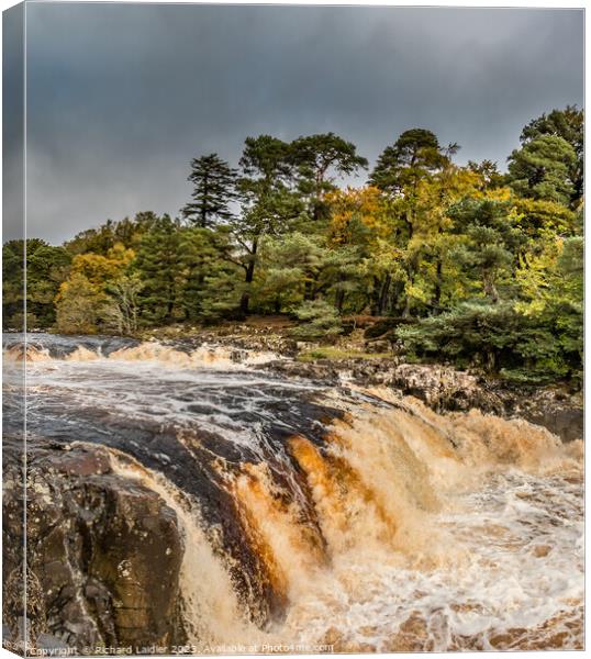 Low Force Waterfall, Teesdale, from the Pennine Way Canvas Print by Richard Laidler