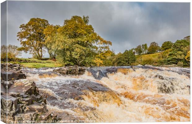 Low Force Cascade, Teesdale Canvas Print by Richard Laidler
