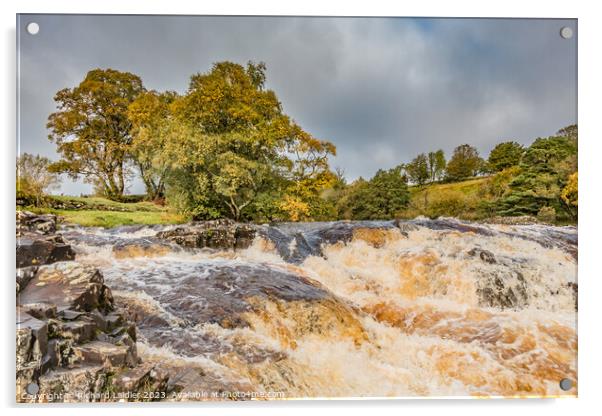 Low Force Cascade, Teesdale Acrylic by Richard Laidler