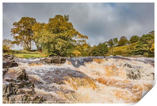 Low Force Cascade, Teesdale Print by Richard Laidler