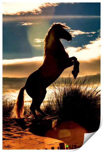 Stallion rearing silhouette Print by Helkoryo Photography