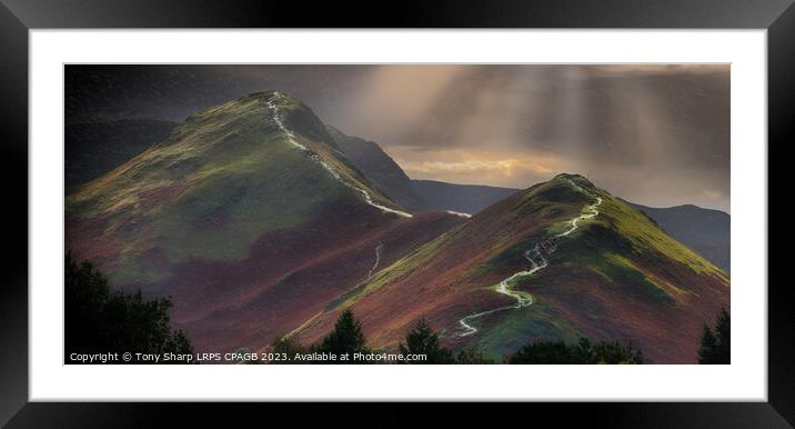 CATBELLS SUNLIGHT Framed Mounted Print by Tony Sharp LRPS CPAGB