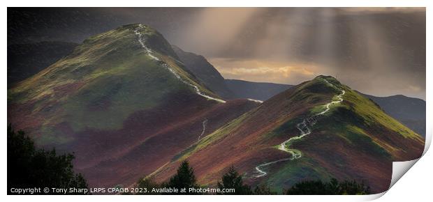 CATBELLS SUNLIGHT Print by Tony Sharp LRPS CPAGB