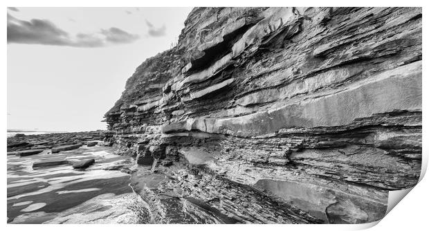 Lyme Cliff Print by Mark Godden