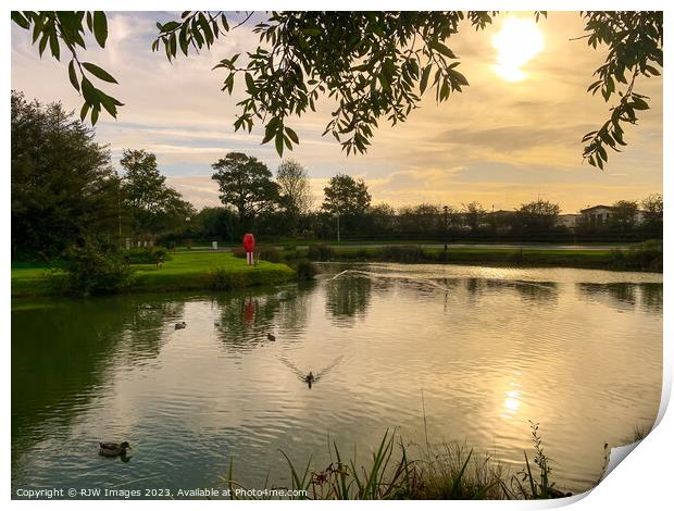 Sand Le Mere Duck Pond Print by RJW Images