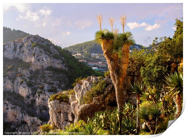 tall cactus and mountains  Print by Jonny Angle