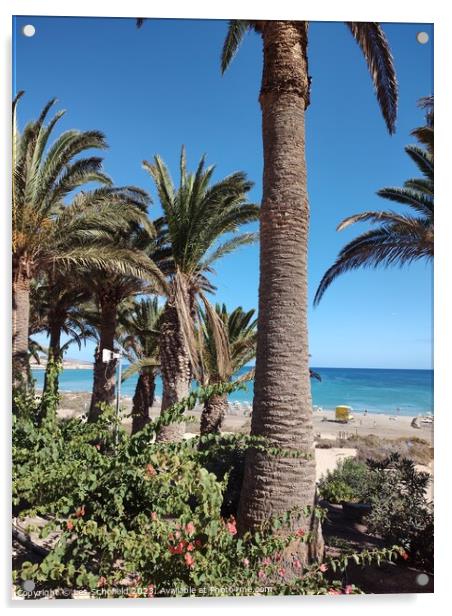 Costa calma beach Acrylic by Les Schofield