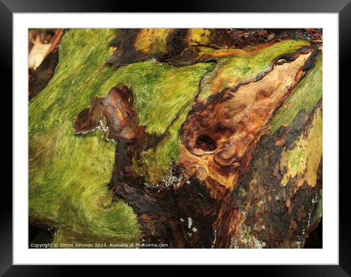 Bark and lichen Framed Mounted Print by Simon Johnson