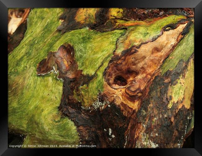 Bark and lichen Framed Print by Simon Johnson