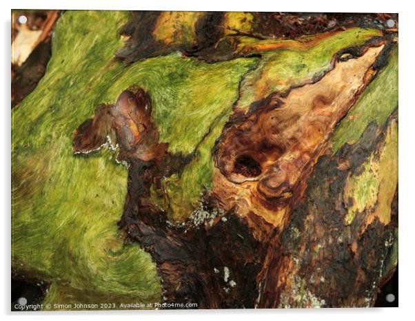 Bark and lichen Acrylic by Simon Johnson