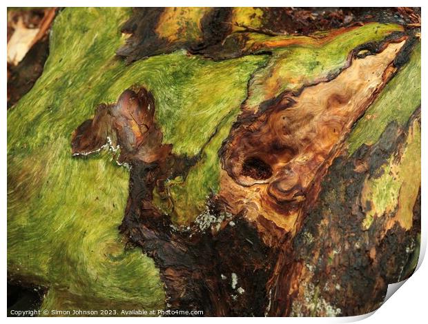 Bark and lichen Print by Simon Johnson