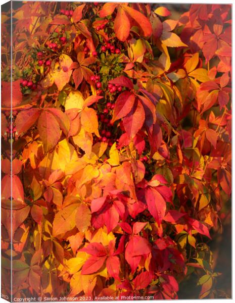 Autumnleaves Canvas Print by Simon Johnson