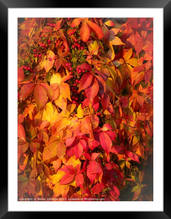 Autumnleaves Framed Mounted Print by Simon Johnson