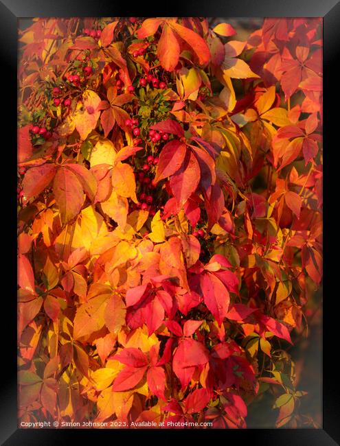 Autumnleaves Framed Print by Simon Johnson