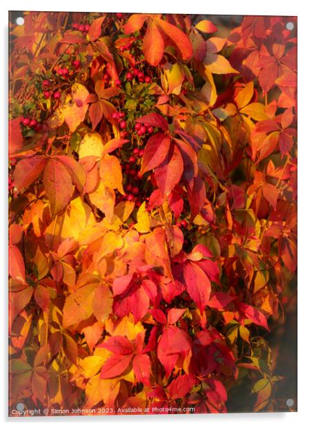 Autumnleaves Acrylic by Simon Johnson