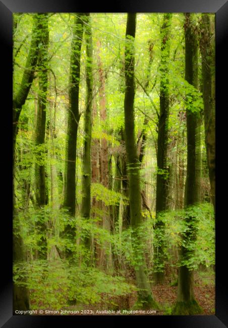wet woodland wiyh soft focus Framed Print by Simon Johnson