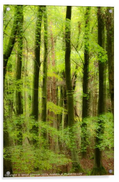 wet woodland wiyh soft focus Acrylic by Simon Johnson