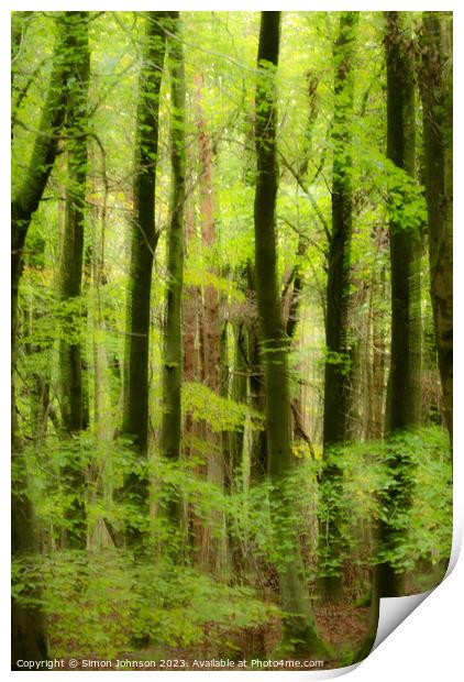 wet woodland wiyh soft focus Print by Simon Johnson