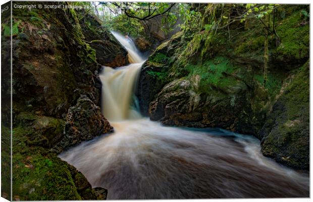 A large waterfall in a forest Canvas Print by A Chisholm