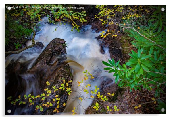 A waterfall surrounded by trees in Scotland Acrylic by A Chisholm