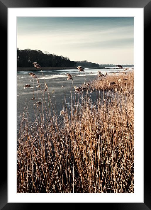 Frozen Ormesby Broad Framed Mounted Print by Stephen Mole