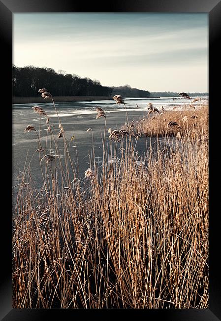 Frozen Ormesby Broad Framed Print by Stephen Mole