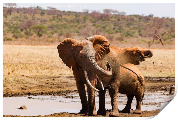 Elephant Spraying a mud bath Print by Howard Kennedy