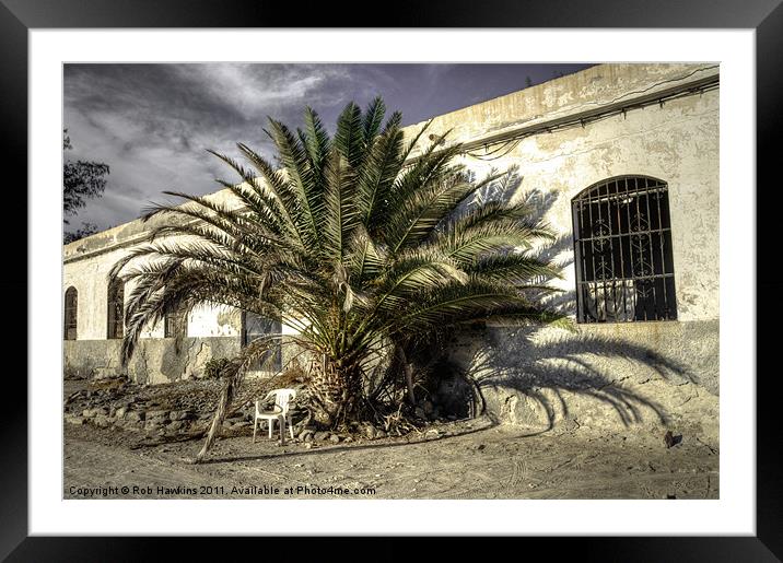 Palm & Chair Framed Mounted Print by Rob Hawkins