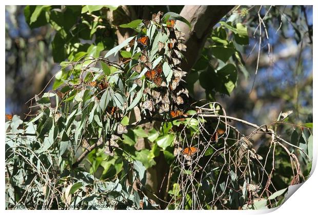 Butterfly Migration Print by Arun 