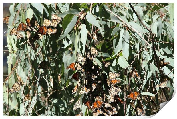 Butterfly Migration Print by Arun 