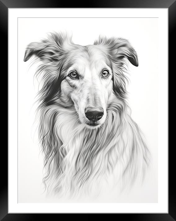 Borzoi Pencil Drawing Framed Mounted Print by K9 Art