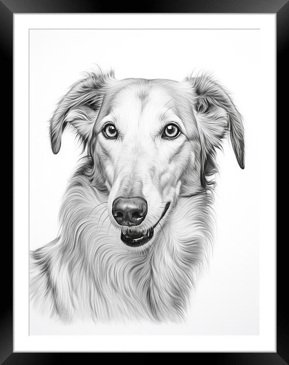 Borzoi Pencil Drawing Framed Mounted Print by K9 Art