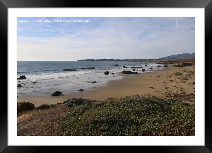 Beach at San Simeon California Framed Mounted Print by Arun 