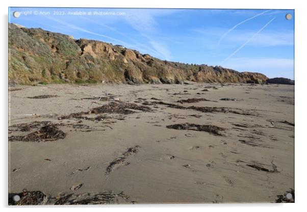 Beach at San Simeon California Acrylic by Arun 