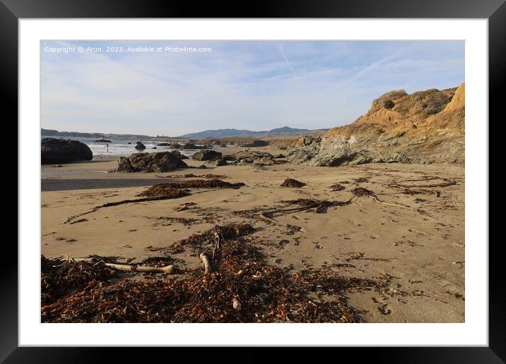 Beach at San Simeon California Framed Mounted Print by Arun 