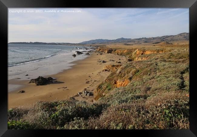 Beach at San Simeon California Framed Print by Arun 