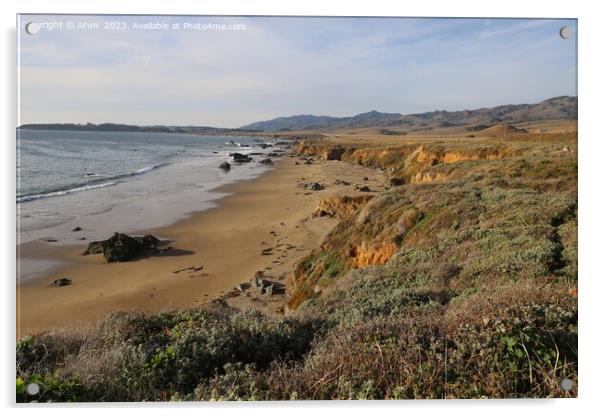 Beach at San Simeon California Acrylic by Arun 